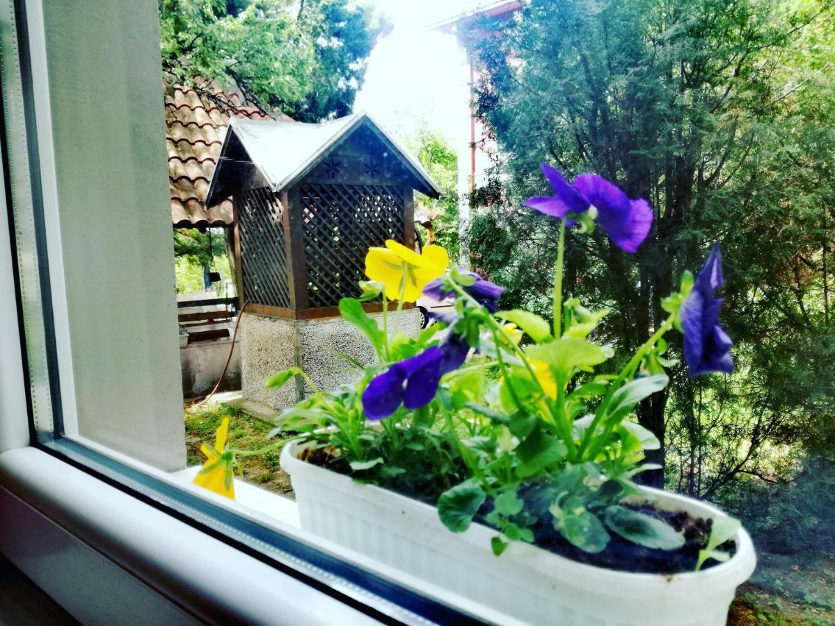 Maslina Rooms Smederevo Exterior foto